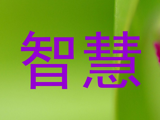 智慧