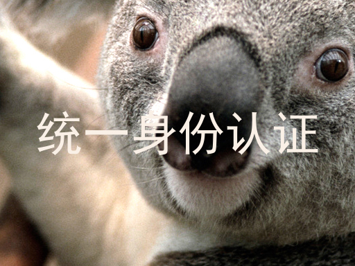 统一身份认证