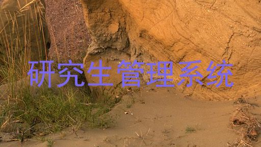 研究生管理系统