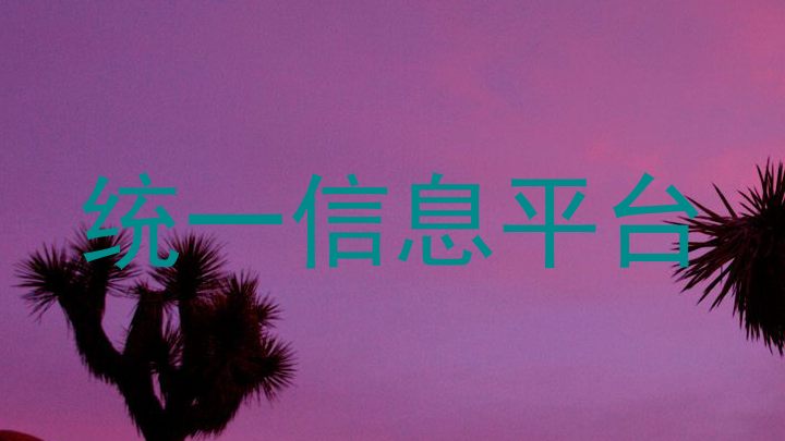 统一信息平台