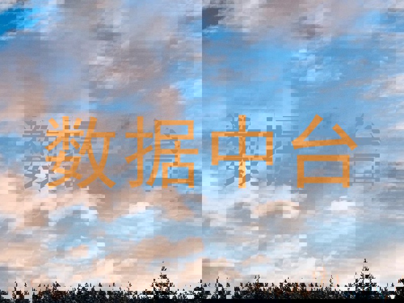 数据中台