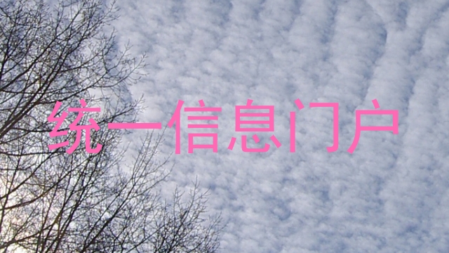 统一信息门户