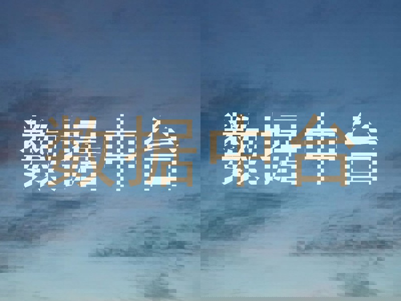 数据中台