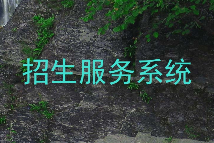 招生服务系统
