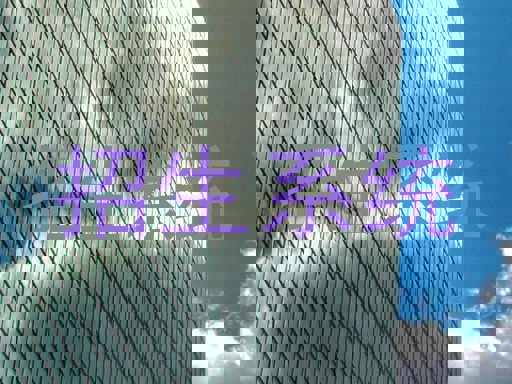 招生系统