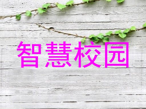 智慧校园