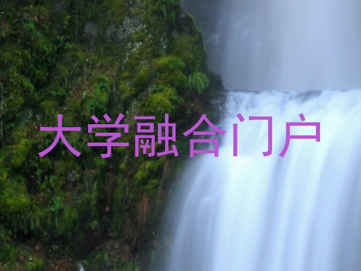 大学融合门户