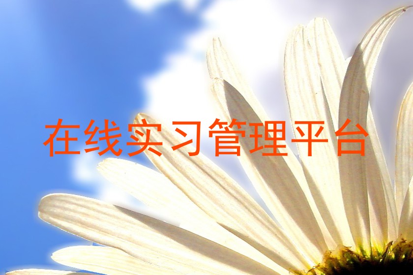 在线实习管理平台