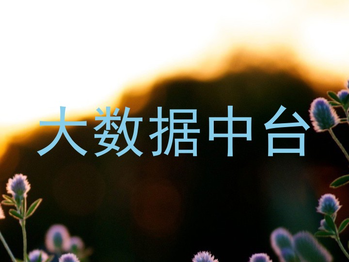 大数据中台