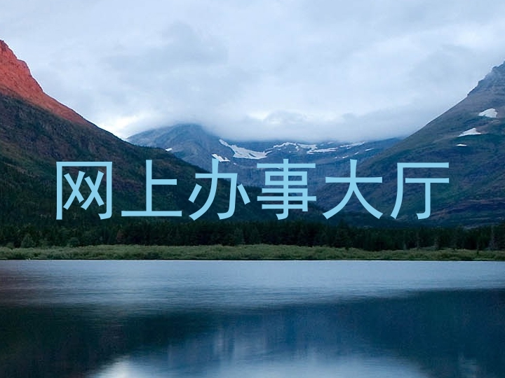 网上办事大厅