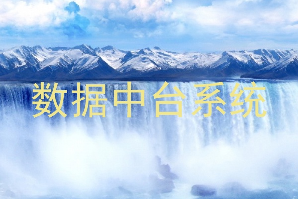 数据中台系统