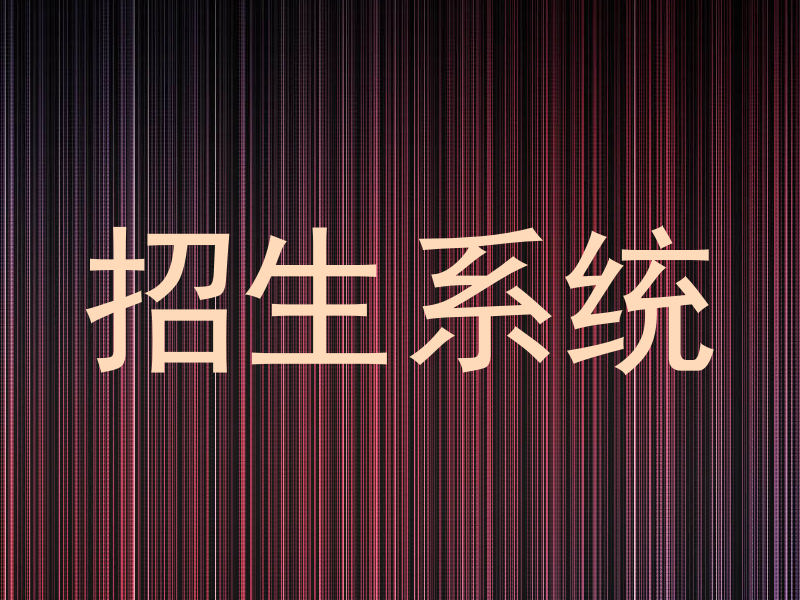 招生系统