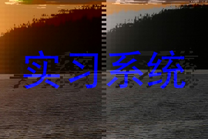 实习系统