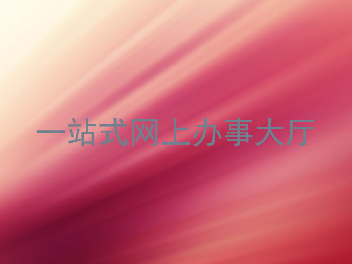 一站式网上办事大厅