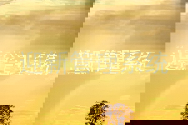 迎新管理系统