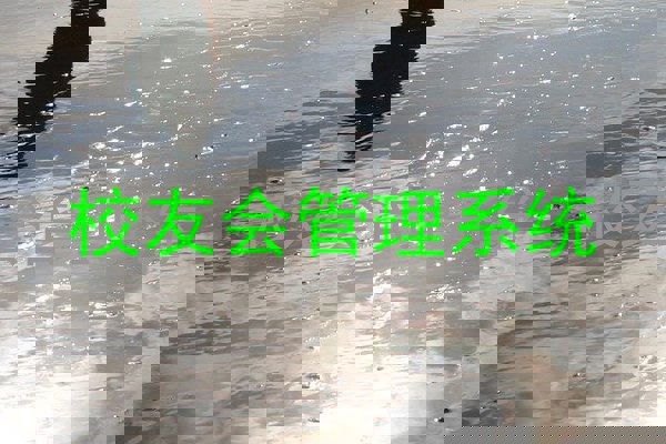 校友会管理系统