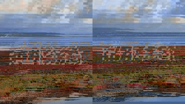 招生服务系统