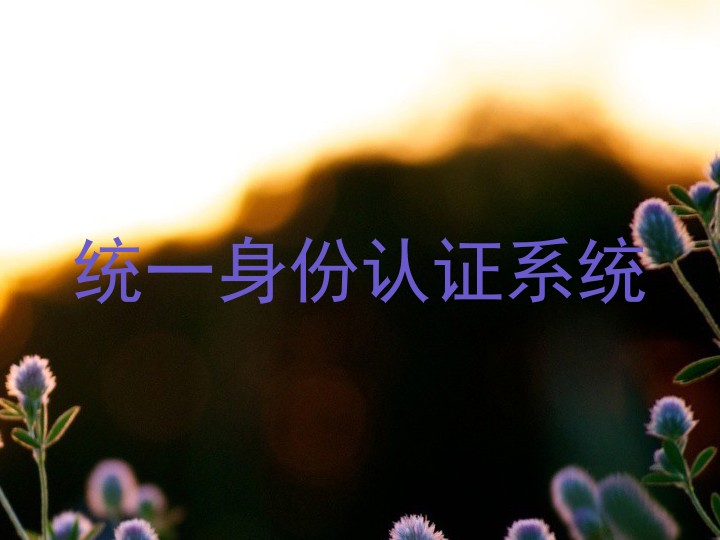 统一身份认证系统