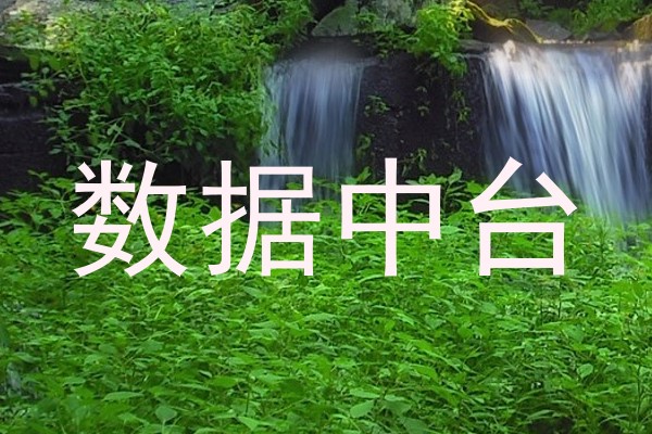数据中台