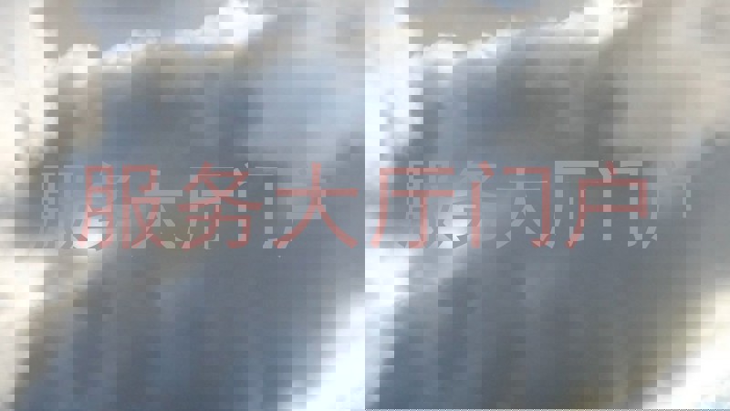 服务大厅门户