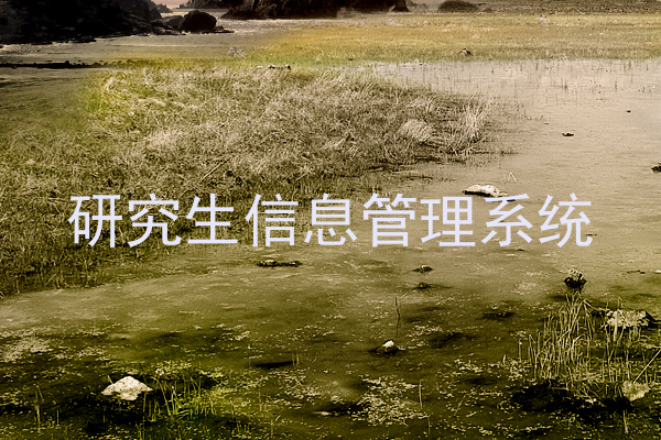 研究生信息管理系统