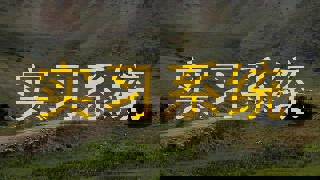 实习系统