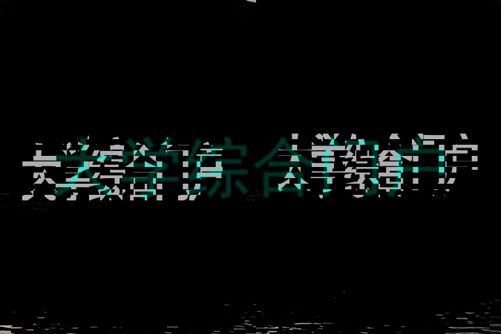 大学综合门户