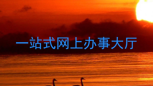 一站式网上办事大厅