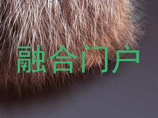 融合门户