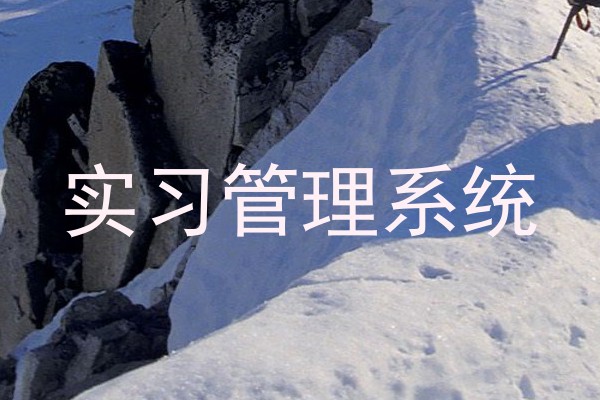 实习管理系统