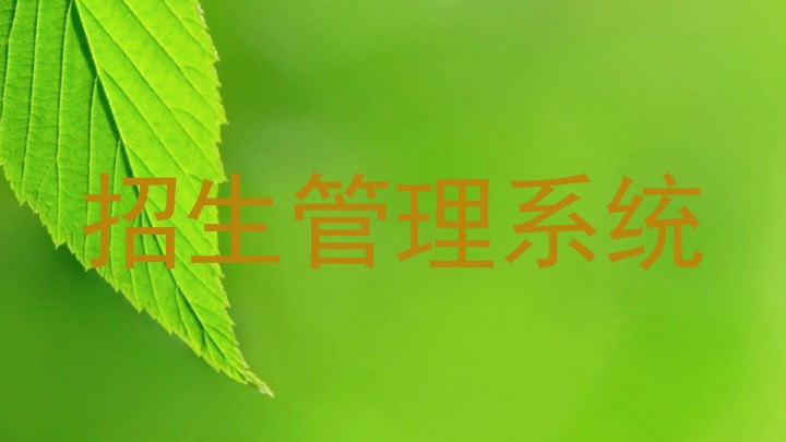 招生管理系统