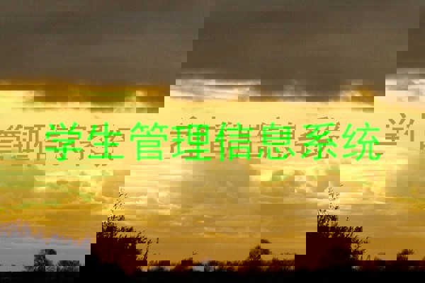 学生管理信息系统