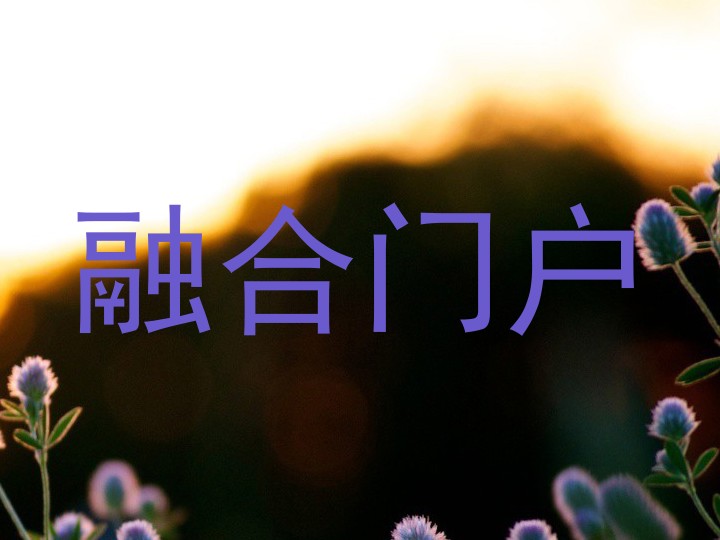 融合门户