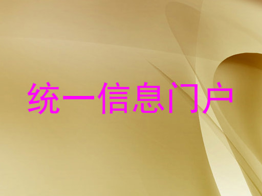 统一信息门户