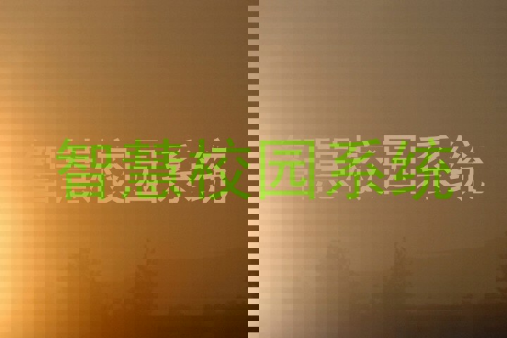 智慧校园系统