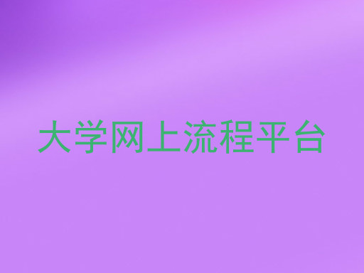 大学网上流程平台
