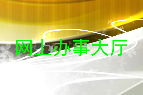 网上办事大厅