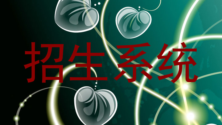 招生系统
