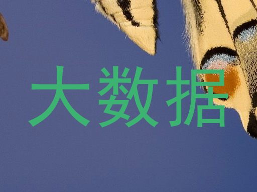 大数据