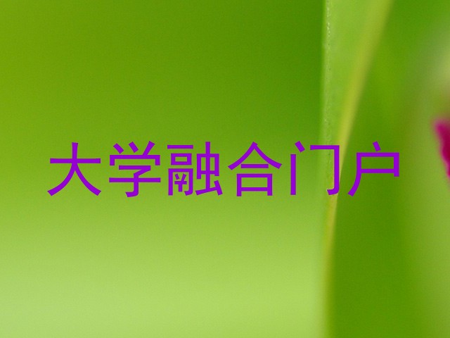 大学融合门户