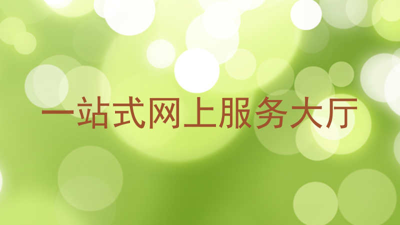 一站式网上服务大厅