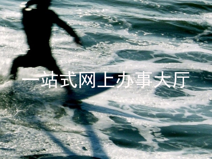 一站式网上办事大厅