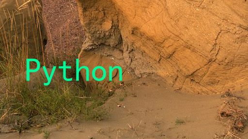 Python