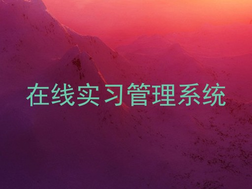 在线实习管理系统