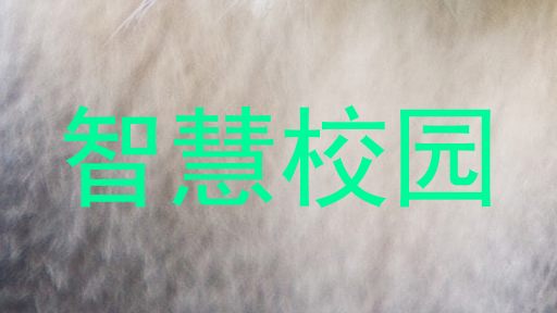 智慧校园