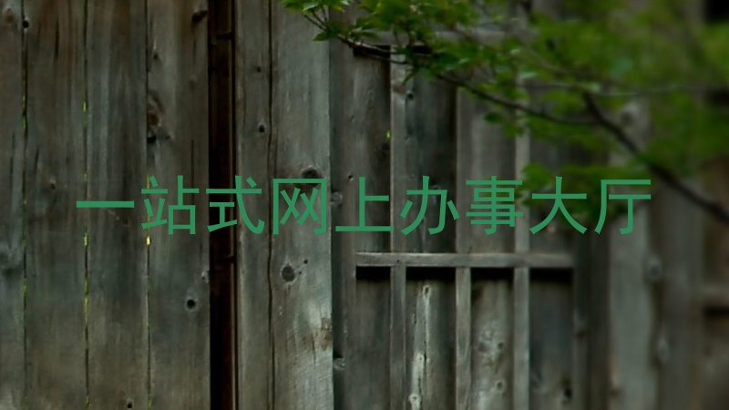 一站式网上办事大厅