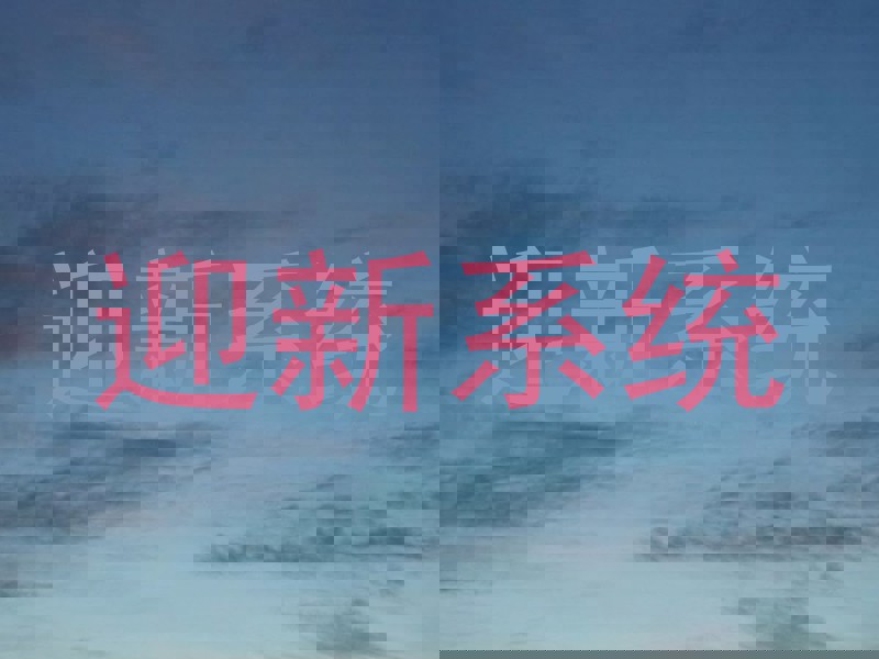 迎新系统
