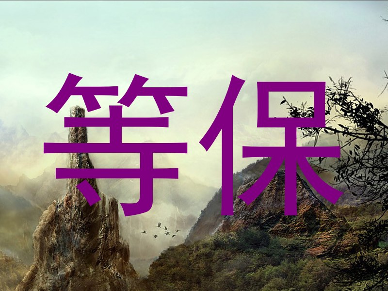 等保