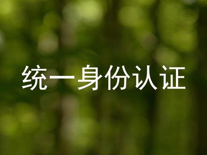 统一身份认证