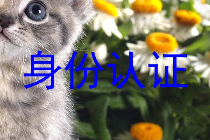 身份认证